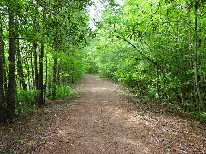 Hidden Pond Path